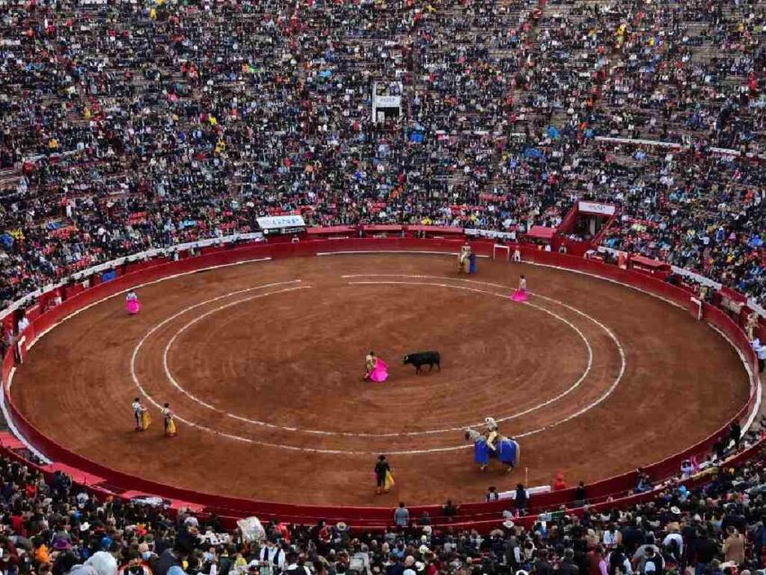Suprema Corte de México permite corridas de toros