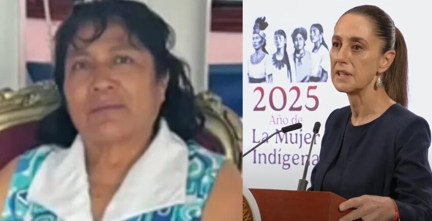 irma hernández, sheinbaum