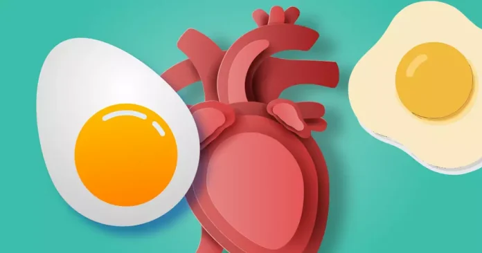 La ciencia cambia la percepción sobre el colesterol y el consumo de huevos